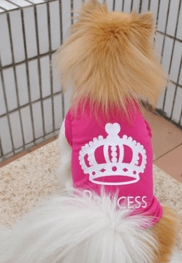 Elegant Canine Royalty Vest