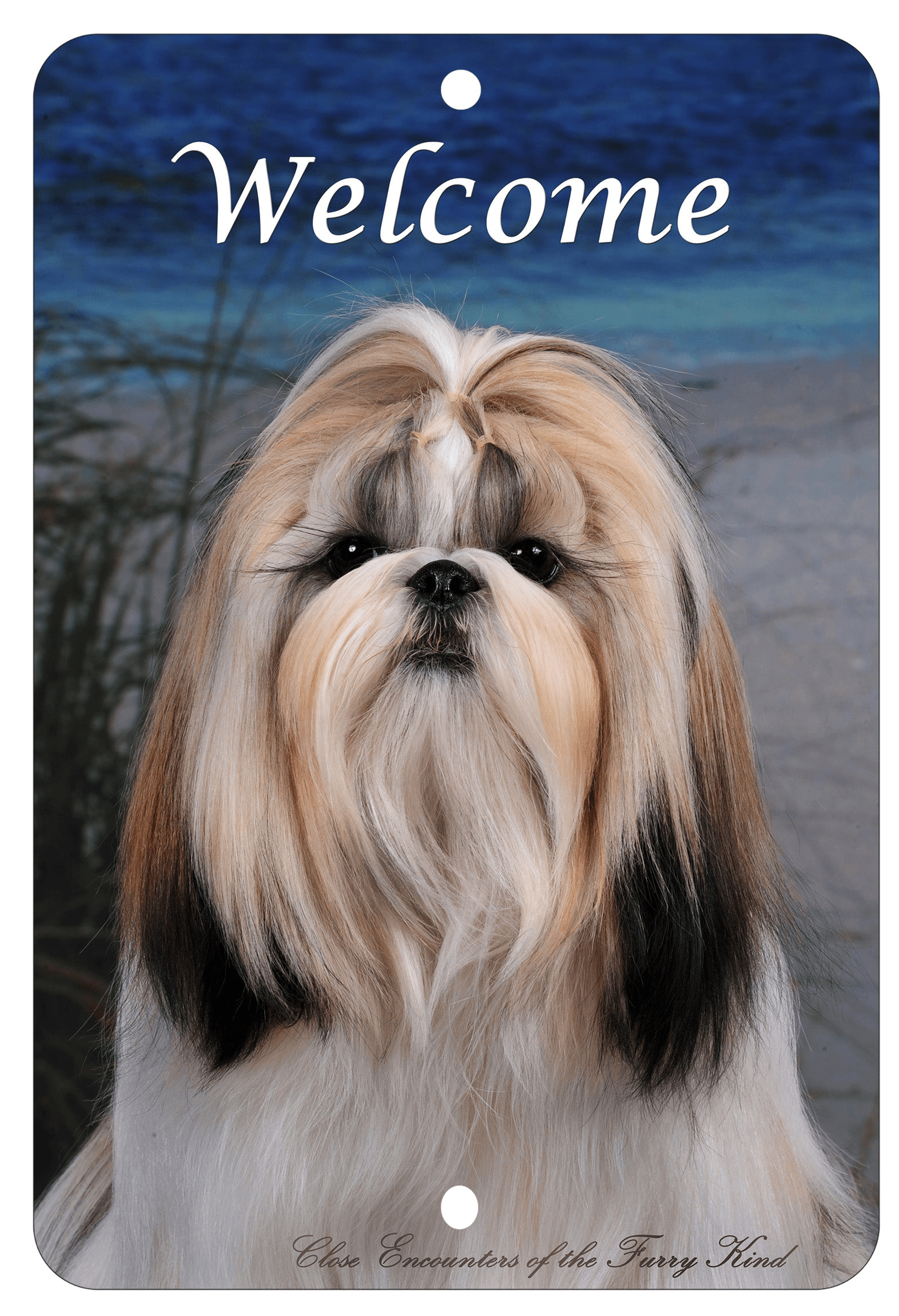 Shih Tzu Best Of Breed Indoor/Outdoor Aluminium Sign