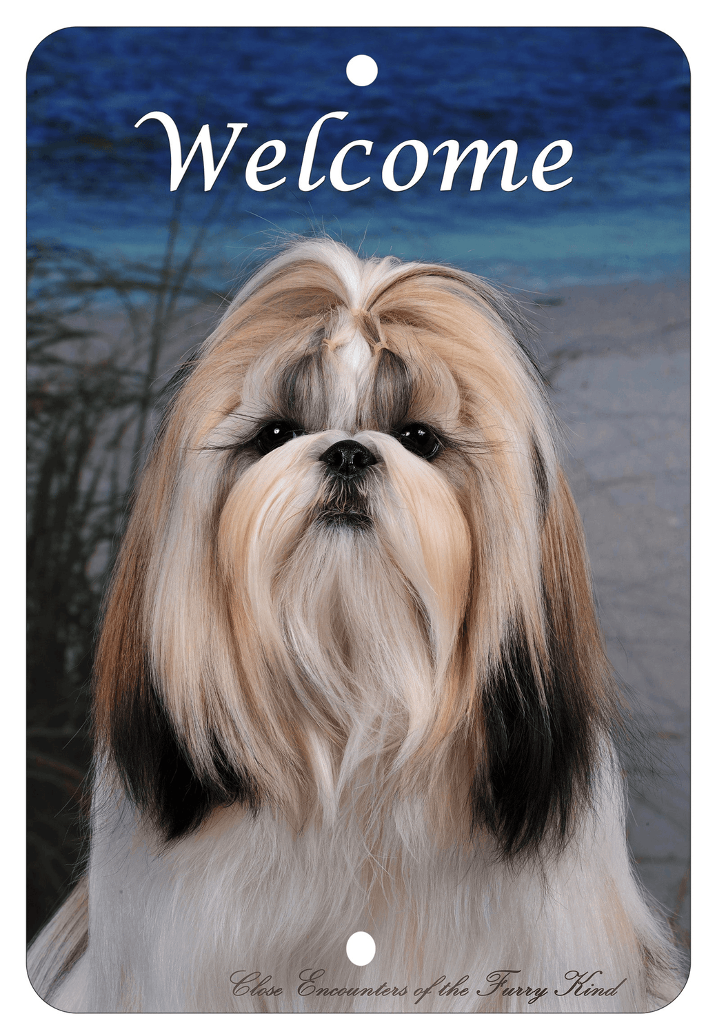 Shih Tzu Best Of Breed Indoor/Outdoor Aluminium Sign