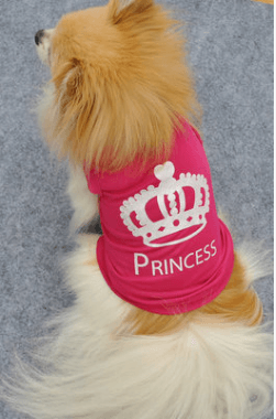 Elegant Canine Royalty Vest