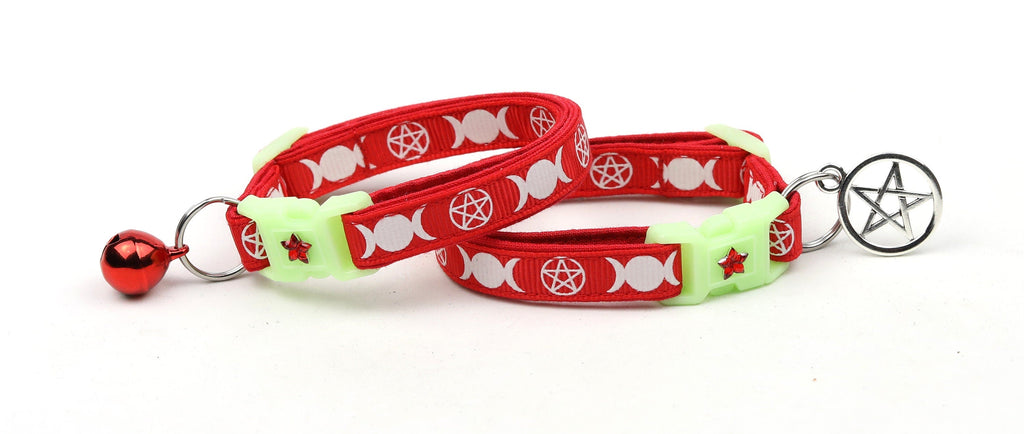 Witch's Familiar on Red Cat Collar