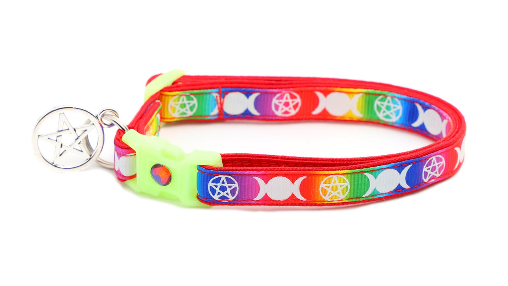 Witch's Familiar on Rainbow Cat Collar
